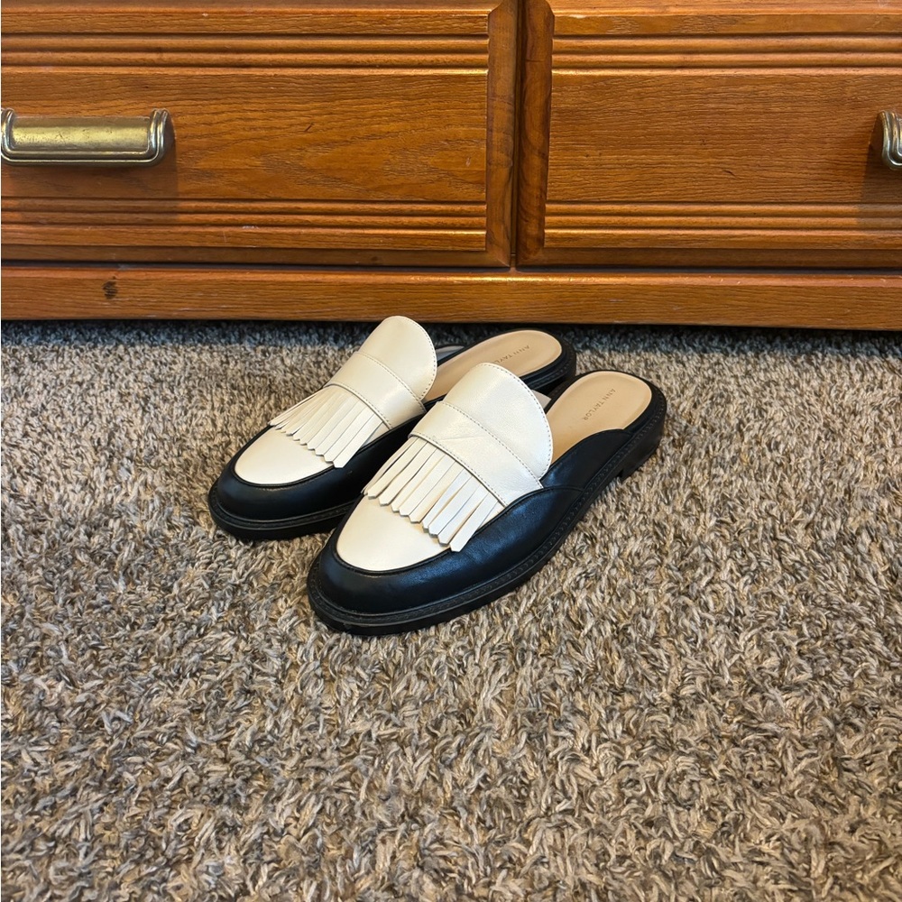 Great condition Ann Taylor women’s dress loafers